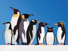 a group of penguins standing next to each other