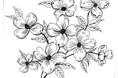 a black and white drawing of flowers