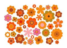 an assortment of colorful flowers on a white background