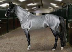 a gray horse standing in the middle of an indoor area with brick flooring and green gates