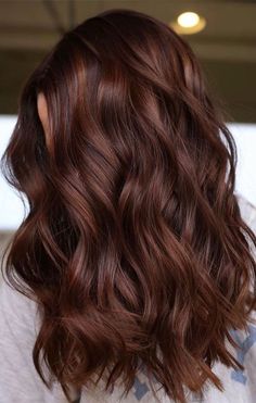 Dark Chestnut Hair Color, Dark Chestnut Hair, Highlights Brunette, Dark Auburn Hair, Rambut Brunette, Chestnut Hair, Hair Length Chart, Chestnut Hair Color, Brown Hair Inspo