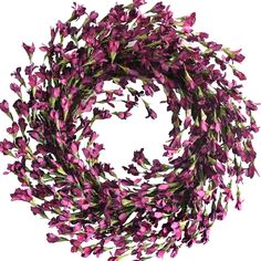 purple flowers are arranged in a circle on a white background