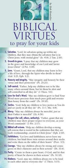 the front cover of biblical virtuals to pray for your kids, with instructions on how to