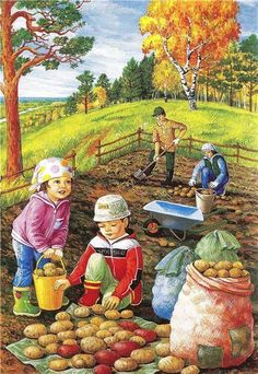 an image of children picking potatoes in the field