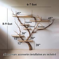 a tree that has been placed in front of a wall with the measurements for it