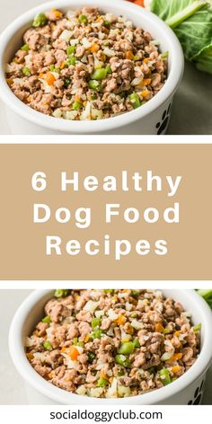 six healthy dog food recipes in white bowls