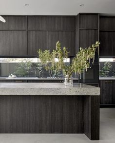 a kitchen with marble counter tops and dark wood cabinetry, along with plants in vases on the island