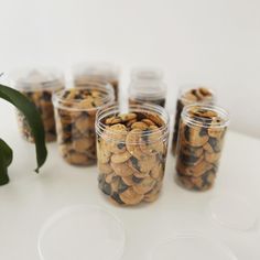 several jars filled with nuts sitting on top of a white table next to a plant