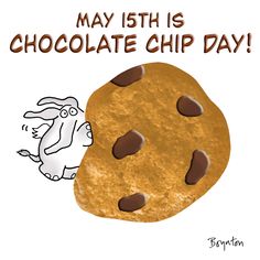 a chocolate chip cookie with an easter bunny peeking out of it's hole and the words, may 13th is chocolate chip day