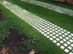 two rows of white stepping stones in the grass