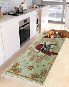 a brown dog laying on top of a kitchen floor next to a stove and oven