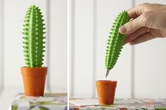 a person is cutting into a small cactus in a pot with a sharp toothpick