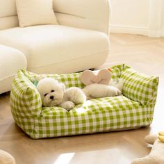 two small white dogs laying on a green and white checkered dog bed