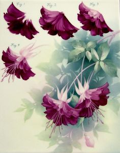 some pink flowers and green leaves on a white plate with watercolor effect in it