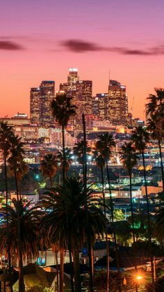 the city skyline is lit up at night, with palm trees and buildings in the foreground