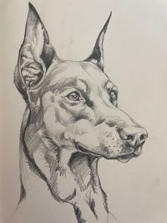 a drawing of a dog's head in black and white pencils on paper