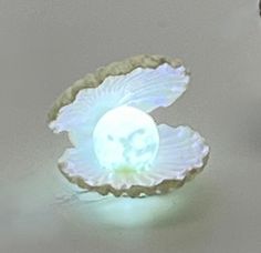 a white ring with an image of a bird on it's side and the light shining through its shell