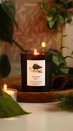 a black candle sitting on top of a table next to some green plants and candles