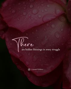 there are hidden blessings in every struggle