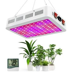 the grow light is hanging over some plants