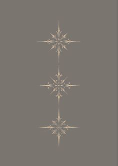 an image of three lines that are in the shape of snowflakes on a gray background