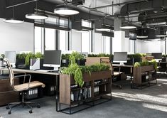 an office with plants growing in the middle of desks and on top of chairs