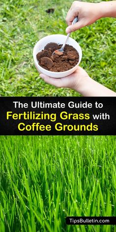 the ultimate guide to fertiting grass with coffee grounds