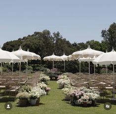 rows of tables and chairs with umbrellas over them in the middle of a field