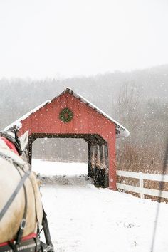 a horse that is standing in the snow near a red building with a wreath on it