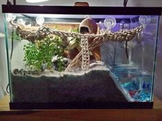 an aquarium filled with plants and rocks on top of a wooden table next to a light