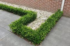 a brick wall and sidewalk with small bushes in the shape of an e on it