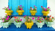 four yellow and white ceramic planters with flowers in them on a blue step next to a blue door