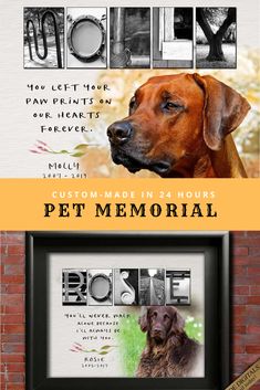 a dog is shown in the frame with its name on it and an image of a dog