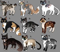 a group of cats standing next to each other on top of a gray background with numbers