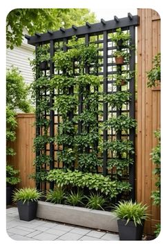 an outdoor trellis with plants growing on it