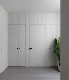 an empty room with white cabinets and a potted plant on the floor next to it