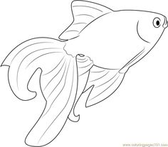 Beautiful Goldfish Coloring Page Goldfish Coloring Pages, Goldfish Drawing Easy, Fish Design Drawing, Goldfish Printable, Giant Goldfish, Animal Masks For Kids, Fish Coloring, Summer Arts And Crafts