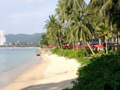 the beach is lined with palm trees and red umbrellas in front of some buildings