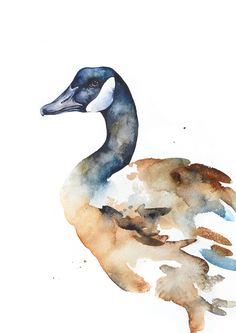 a watercolor painting of a duck on a white background with blue and brown colors