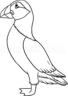 a black and white drawing of a bird