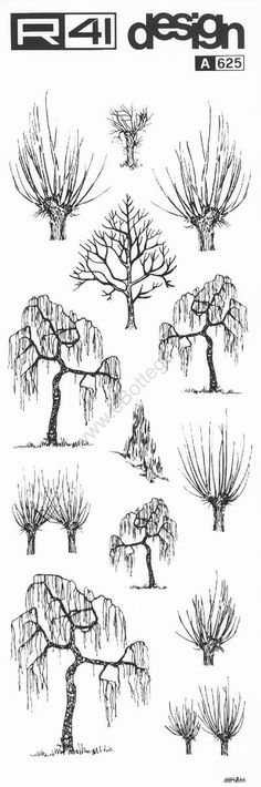 an image of trees drawn in ink