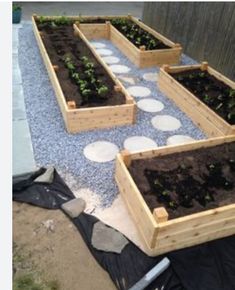 several wooden boxes filled with plants on top of a gravel covered ground next to a fence