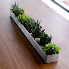 a planter filled with succulents on top of a wooden table