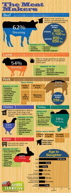 the farm info sheet is shown with different animals and their names on it's side