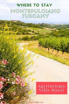 a dirt road surrounded by flowers and greenery with the words where to stay in montepuliano tuscany