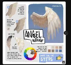 an image of some white wings with different colors and shapes on it, including the words angel