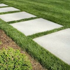 stepping stones in the grass on a lawn