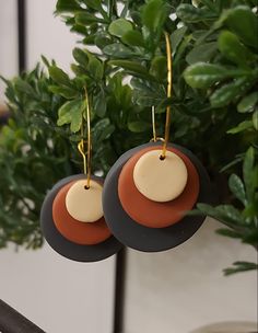 two circles are hanging from the back of some wood earring hooks on a plant