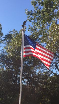 an american flag flying in the wind with trees and blue sky in the back ground