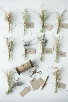 various flowers and tags are arranged on a white surface with twine spools